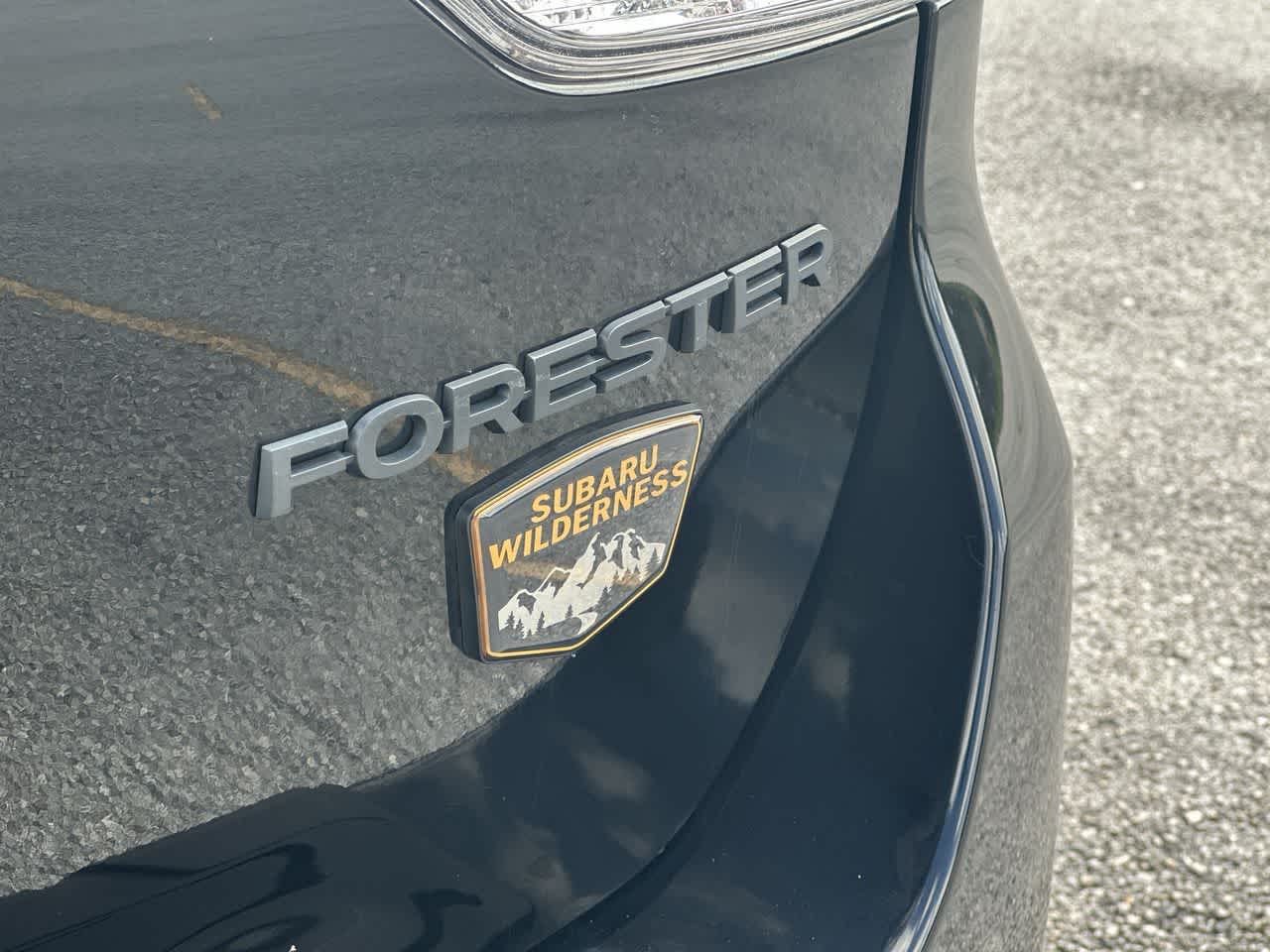 2023 Subaru Forester Wilderness